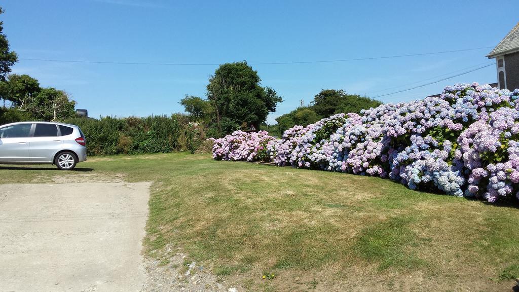 Trewithian Farm B&B Truro Eksteriør billede